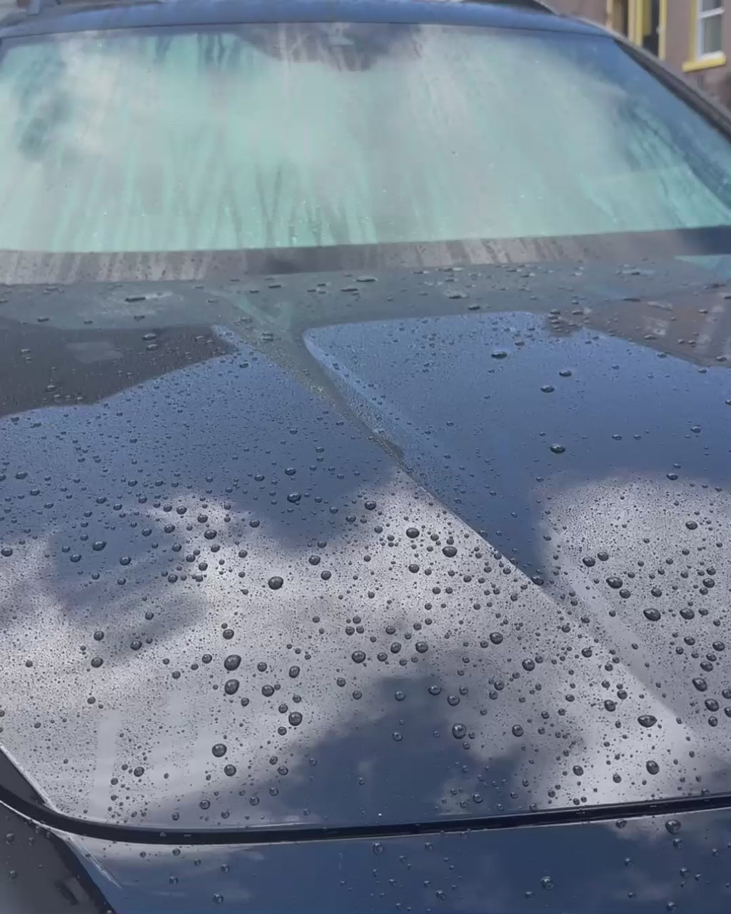 Shine & Dry Combo